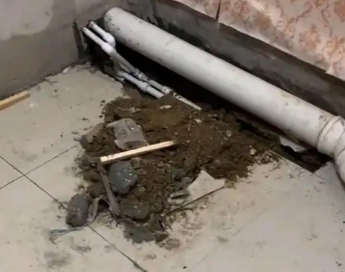 临江卫生间漏水检测哪家好
