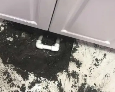 临江查漏水哪家好