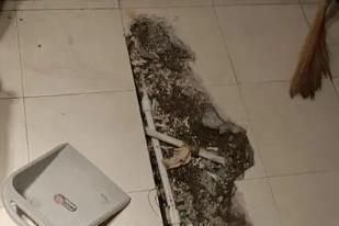 临江卫生间漏水检测电话